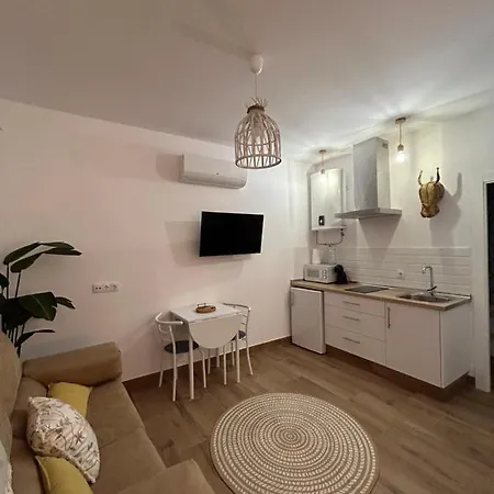 Apartment Casa El Gorras *